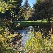 Blick auf den Tölzer Park von der Mentalcoaching Akademie