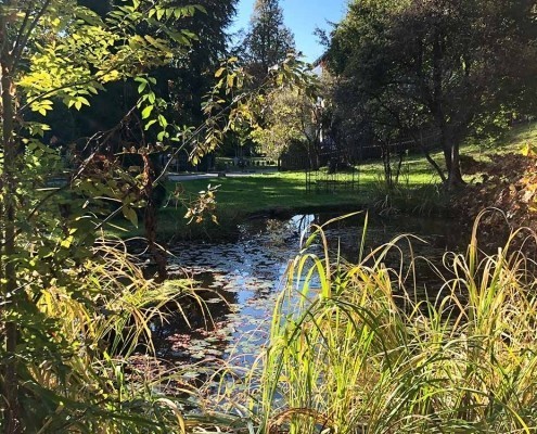 Blick auf den Tölzer Park von der Mentalcoaching Akademie