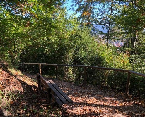 Bad Tölz hat wunderschöne Wanderwege in unmittelbarer Nähe der Mentalcoaching Akademie